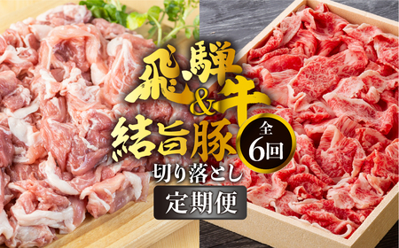 《定期便》全6回 飛騨牛 500g 結旨豚 1.5kg 訳あり 定期便 [S724]