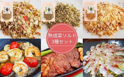 
【漬物屋が作る新しい調味料】熟成菜ソルト3種セット
