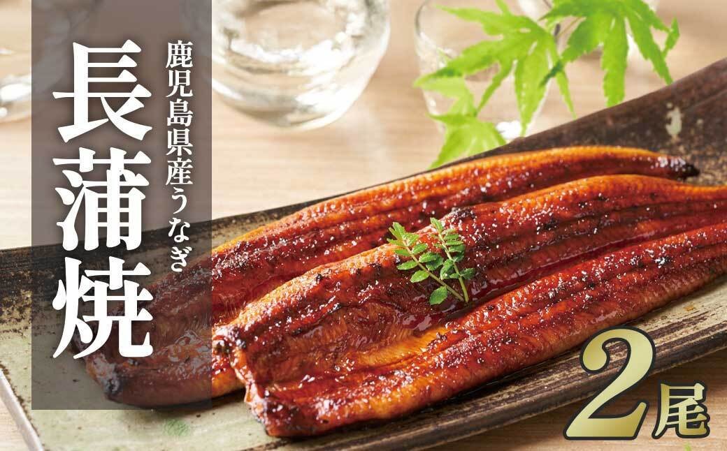 
                  【父の日】ふるさと納税限定　鹿児島県大崎町産 国産 うなぎ長蒲焼 2尾 計320g以上 | 鰻 うなぎ蒲焼き うな重 ひつまぶし ウナギ 蒲焼 人気 おすすめ 鹿児島 大隅半島 DU001　
                