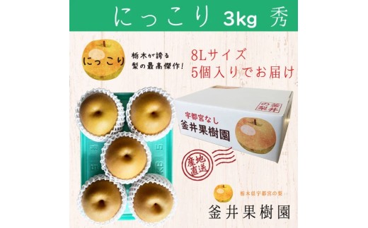 にっこり 3kg 5玉 | 栃木県産 宇都宮市 梨 なし フルーツ 果物 旬 産地直送 ※2026年9月～発送