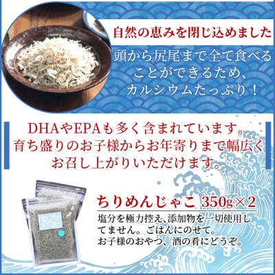 ふるさと納税 西予市 【定期便2ヶ月】<訳あり ちりめん300g>祇園丸 お徳用 えひめ 魚 しらす |  | 01