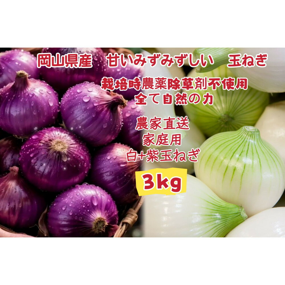 【ふるさと納税】甘すぎ新鮮岡山産 みずみずしい【白玉ねぎ+赤玉ねぎ】3kgセット家庭用 減化学肥料 タマネギ 生食 健康 野菜 食品 食べ比べ 培期間中農薬・除草剤不使用 自然の力 訳あり(サイズ混合) | 野菜 やさい 食品 人気 おすすめ 送料無料