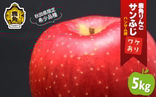 鹿角りんご 訳あり「秋田紅あかり」約 5kg ●2025年11月中旬発送開始【ハンサム侍】リンゴ 林檎 フルーツ グルメ ギフト 故郷 秋田 あきた 鹿角市 鹿角 送料無料
