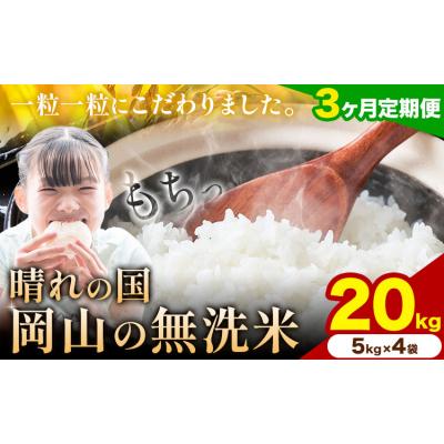 ふるさと納税 矢掛町 【3ヶ月定期便】晴れの国岡山の無洗米 20kg《申し込み翌月から発送》