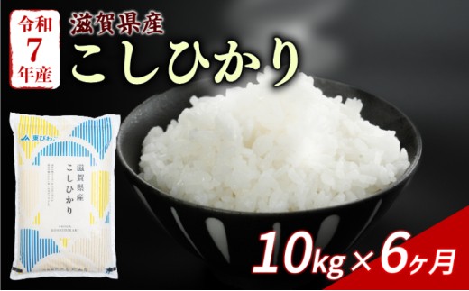 こしひかり 10kg (5kg×2) 6回定期便 令和7年産 定期便 米 精米 こめ コメ お米 ご飯 米 コシヒカリ 米定期便 6か月定期便 6ヶ月定期便 6回 6ヶ月 6か月 滋賀 彦根