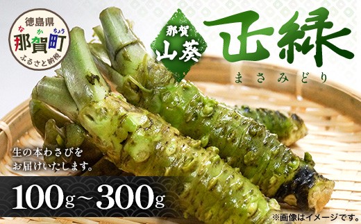 
                  【選べる内容量】那賀わさび (正緑) 約100ｇ～約300ｇ【徳島県 那賀町 生産者直送 産地直送 本わさび わさび ワサビ 生わさび 山葵 野菜 香味野菜 国産 正緑 薬味 調味料 万能 新鮮】FN-010203
                