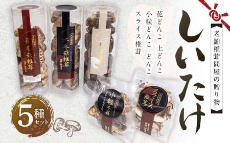 老舗椎茸問屋の贈り物 しいたけ5種セット 小分け 計250g