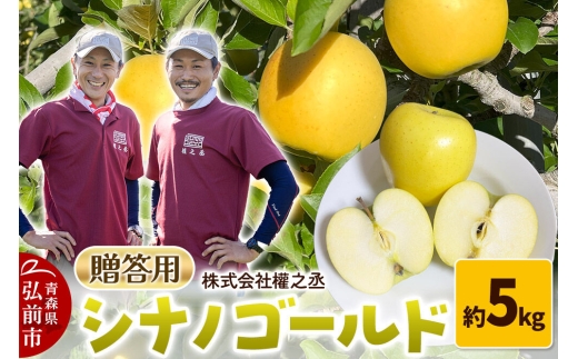 【26年10月下旬～発送】りんご シナノゴールド【贈答用】約5kg 權之丞 青森りんご 青森県 弘前市 果物 フルーツ 林檎 リンゴ くだもの ギフト 贈り物 [産地直送 弘前市産 アップル おいしい 果実 美味 甘い 黄色]