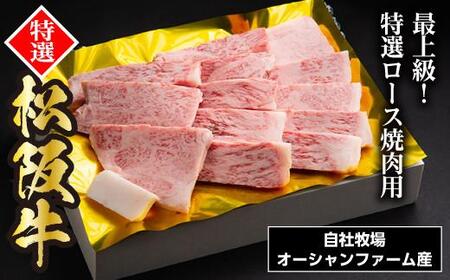 松阪牛焼肉（特選ロース） 500g (0036)