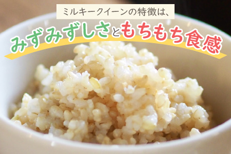 【令和5年産】ミネラル豊富！弱アルカリ性のピロール米 ミルキークイーン 玄米 5kg 化学肥料5割以下・減農薬 [A-008003]