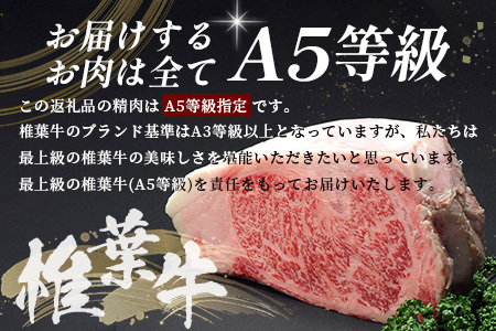 お試し定期便 【 定期便 3回 】 総重量 1,900g 牛肉 椎葉牛の スライス肉 ＆ 切り落とし肉 定期便 【 日本三大秘境 椎葉村 育ちの黒毛和牛 】[ 牛肉 定期便 定期配送 肉 スライス肉 