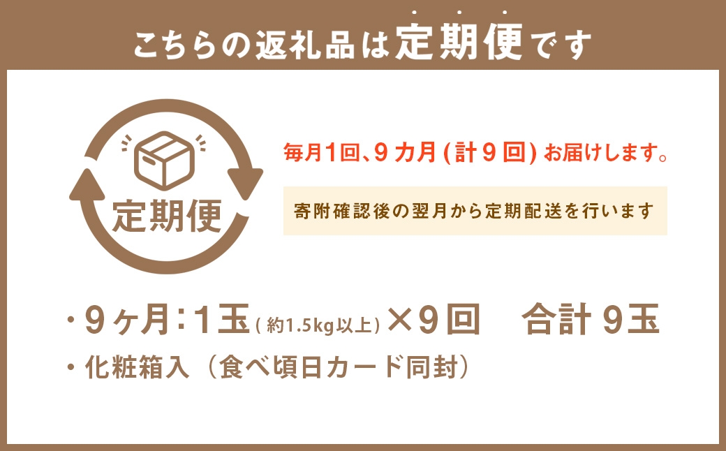 【9ヶ月定期便】静岡県産高級 アローマメロン 白等級 約1.5kg以上×大玉1玉