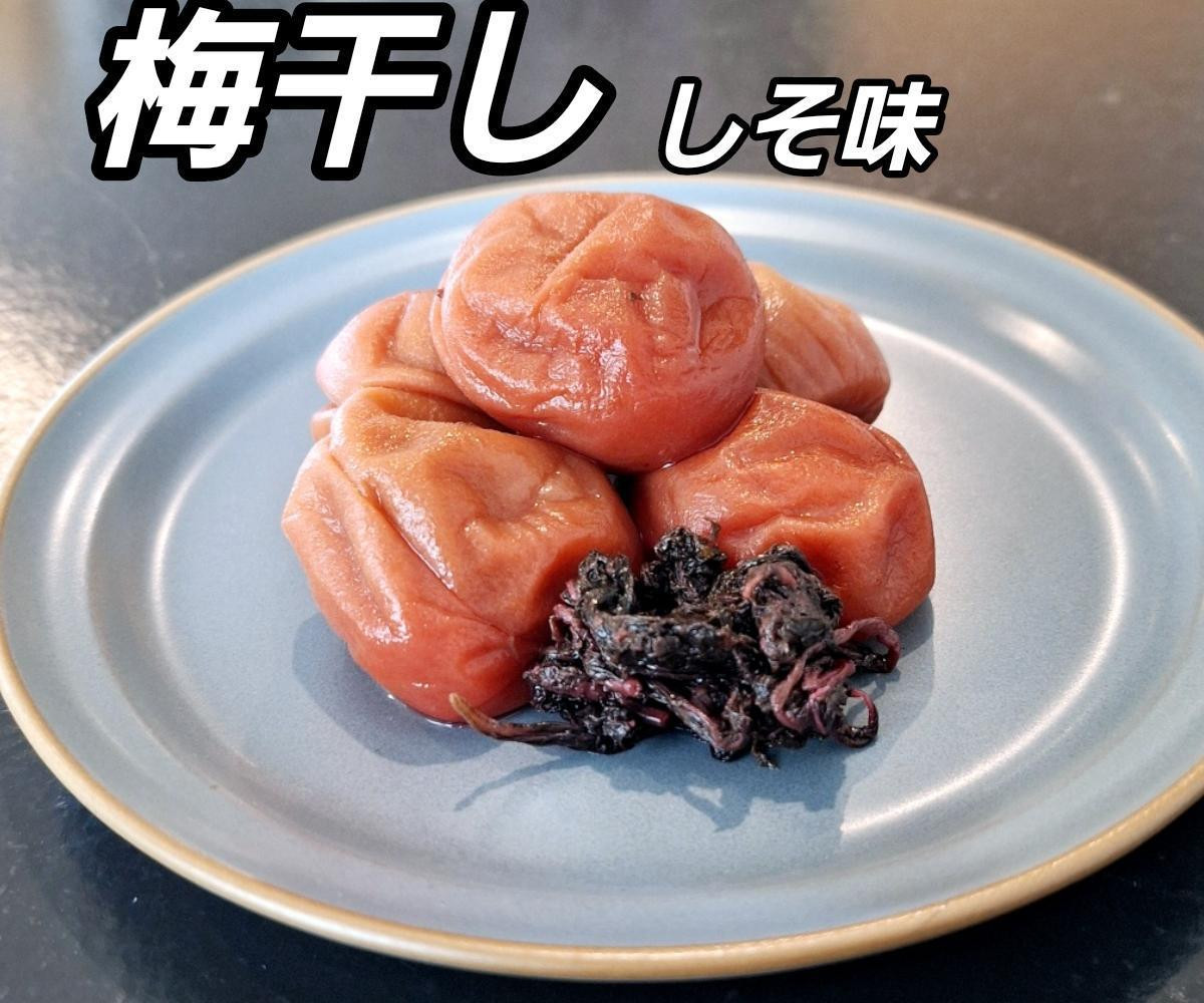 
            訳あり 梅干し 大粒 大玉 つぶれ梅 しそ梅 約1kg (500g×2)  × 6回 塩分10% [ 定期便 毎月発送・全6回 ]
          