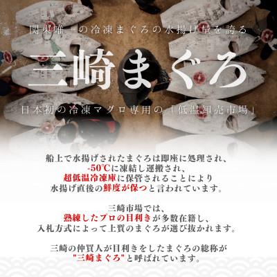 ふるさと納税 三浦市 【みんなの心彩る】天然本まぐろ 1.2kg(大トロ400g、中トロ400g、赤身400g) |  | 01
