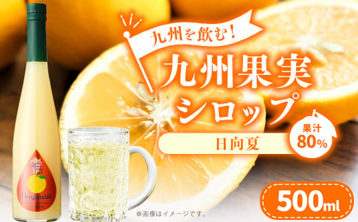 
九州を飲む！九州果実 シロップ 日向夏 500ml 1本 約25杯分 フルーツ 果物 ジュース
