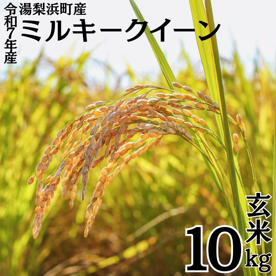 
            349K.湯梨浜町産◇ミルキークイーン◇玄米10kg◇令和7年産
          