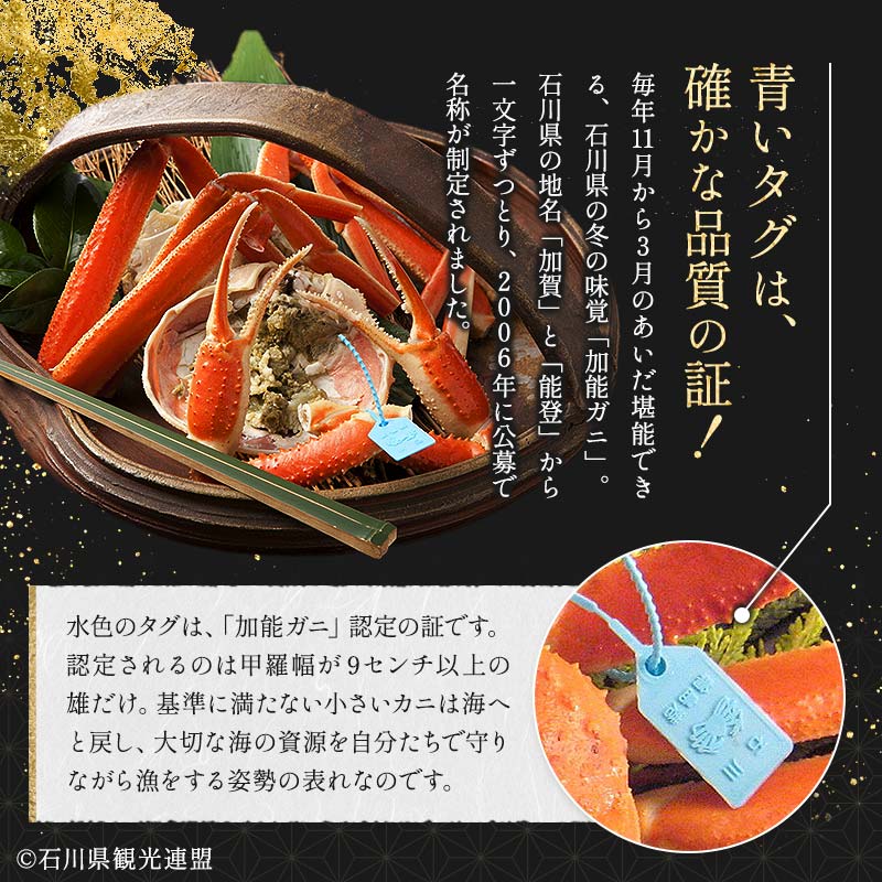 朝茹で加能ガニ姿1杯入り 蟹 かに ズワイガニ グルメ 海産物 贈り物 加賀 F6P-3185