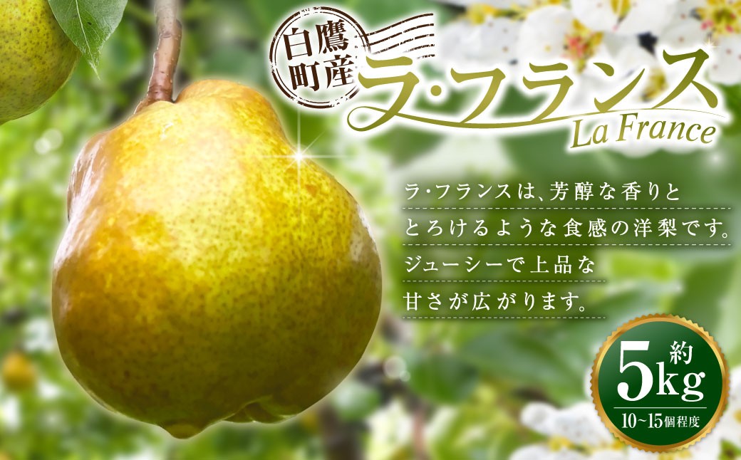 
                  白鷹町産ラ・フランス5kg 洋梨 フルーツ 果物 果実 ラ・フランス 芳醇 香り 食感 ジューシー 上品 甘さ 山形県 白鷹町【2026年11月上旬発送開始】
                