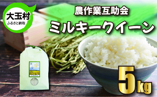 
                  米 5kg 令和7年産 ミルキークイーン 農作業互助会   ｜ 福島県 大玉村 米作り 精米 安達太良山 ｜ gj-mq05-R7
                