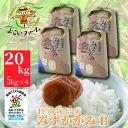 【ふるさと納税】【C-538】【令和6年産　新米】よこいファーム 特別栽培米みずかがみB 20kg（5kg×4）［高島屋選定品］※9月中旬以降順次、令和6年産新米をお届けいたします。