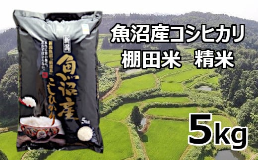 
            S15P513 【先行予約】【令和7年産 新米】魚沼産コシヒカリ棚田米 白米5kg 佐藤農場 ※2025年9月下旬以降より順次発送予定
          