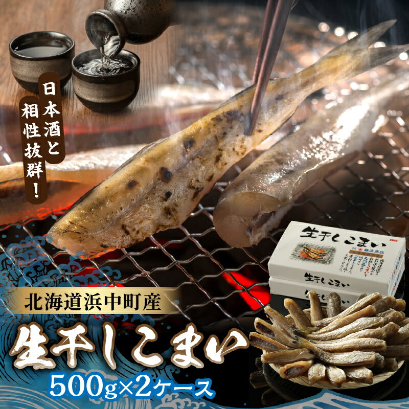 【ふるさと納税】 浜中産 生干し こまい 一夜干し 500g × 2 グルメ 国産 食品 加工品 魚 魚介類 海の幸 海産物 おかず おつまみ 酒の肴 ご飯のお供 惣菜 干物 新鮮 冷凍 飯高商店 北海道 浜中町 お取り寄せ 送料無料