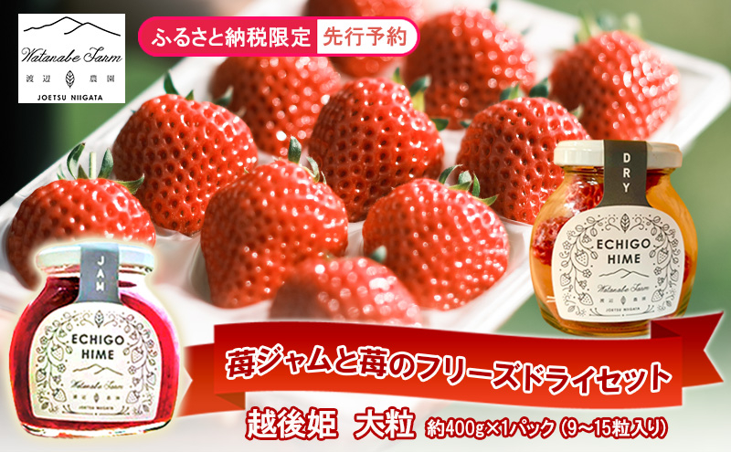 
            【ふるさと納税限定　先行予約で苺ジャムと苺のフリーズドライをセットにしました】越後姫 大粒 約400g×1パック (9～15粒入り)フリーズドライとジャムのセット イチゴ 苺 上越市 新潟
          