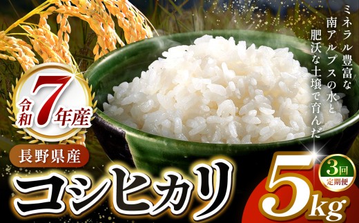 【3ヶ月連続お届け】伊那市田原産米　コシヒカリ　5キロ ｜ 米 コシヒカリ 定期便 田原産 お米 伊那 伊那産 長野県 ふるさと納税 【039-05】