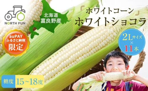 【auPAYふるさと納税限定】≪2026年夏発送≫北海道 富良野産 ホワイトコーン『ホワイトショコラ』2L サイズ 【11本】とうもろこし  (NORTH FUN) とうきび コーン 野菜 新鮮 甘い ジューシー 贈り物 ギフト 道産 富良野市