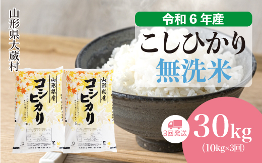 ＜令和6年産米＞ 令和7年1月上旬より配送開始 コシヒカリ【無洗米】30kg定期便 (10kg×3回)　大蔵村