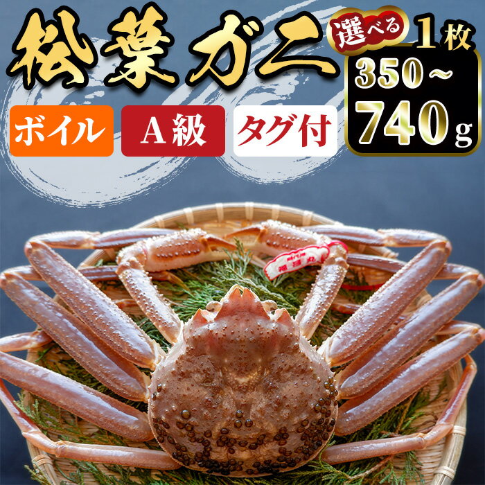 【ふるさと納税】＜期間限定＞＜11月中旬～3月中旬発送予定・選べる容量＞松葉ガニ(350～740g・1枚) 海鮮 かに カニ 蟹 松葉ガニ 松葉がに 松葉蟹 ずわいがに ズワイガニ ボイル A級 タグ付 海の幸 【sm-DD050】【Workplays】