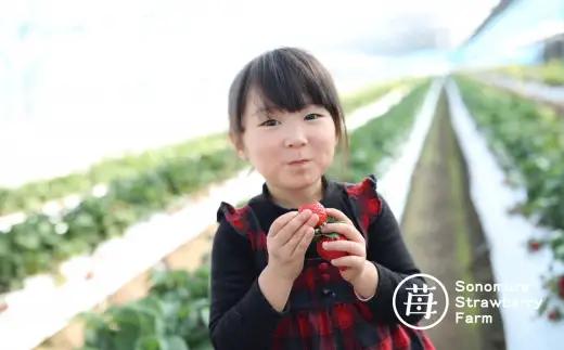 【先行受付】【1月発送】園村苺園★糖度12度以上保証★極幸乃香（きわみさちのか）500ｇ_U74-0046_01
