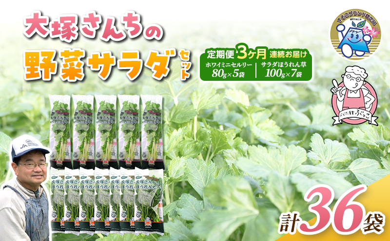 定期便 3回 ホワイトミニセルリー 5袋 ＆ サラダほうれん草 