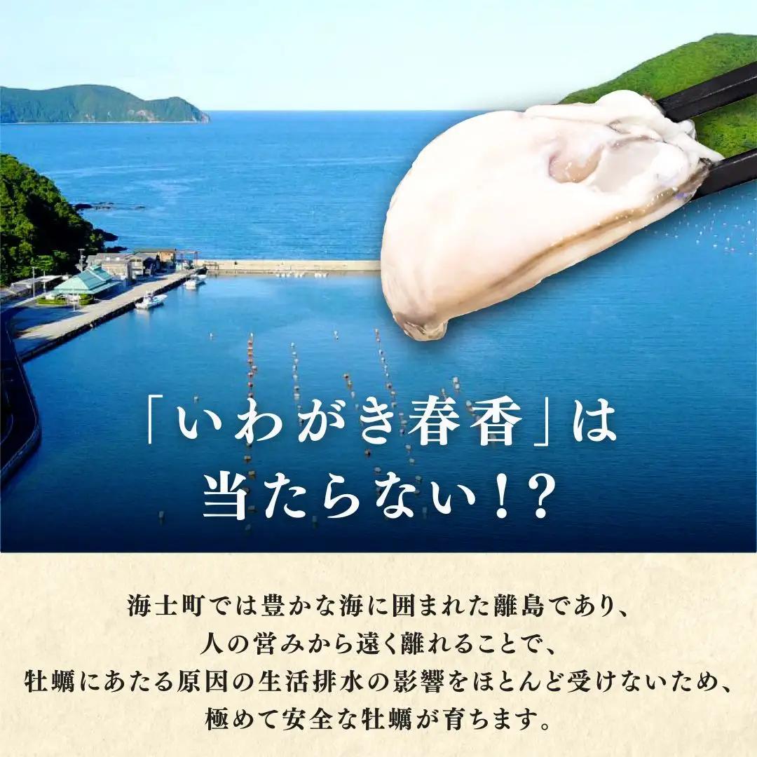 海士町産 牡蠣 冷凍 殻剥き不要 1.2g(10-12個)