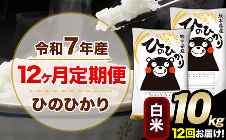 令和7年産 【12ヶ月定期便】 白米 ひのひかり 10kg 5kg×2袋《お申込み翌月から出荷》｜人気米 熊本県産米 お米 生活応援米 