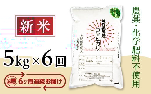 
            E1-S056A【6ヶ月連続お届け】新潟県長岡産コシヒカリ5kg
          
