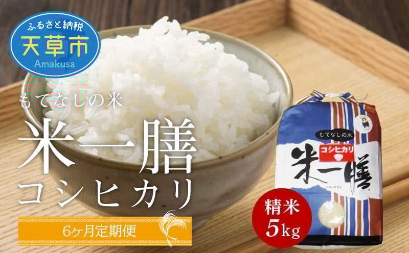 
            S050-T04_【6ヶ月定期便】コシヒカリ 精米 5kg
          