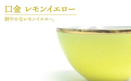 【美濃焼】Bowl LL 口金 レモンイエロー【RYOTA AOKI POTTERY/青木良太】 陶芸家 食器 丼 鉢 ボウル おしゃれ [MCH214]