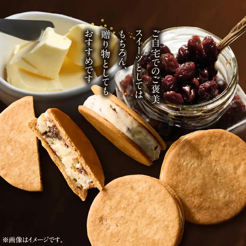 洋菓子店の贅沢ラムレーズンバターサンド　10個入り_B128-002