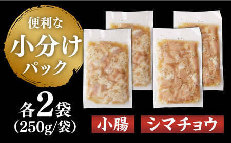 【塩だれ味】 九州産和牛 ホルモン 2種 計1kg（ シマチョウ 250g×2袋・ 小腸 250g×2袋） 長与町/岩永ホルモン [EAX146] ホルモン 小腸 ホルモン シマチョウ ホルモン 国産