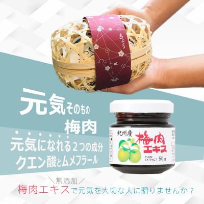 ふるさと納税 上富田町 紀州産梅肉エキス 50g 2個ギフトセット |  | 01
