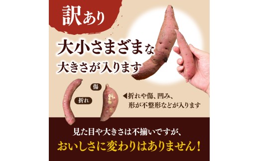 紅はるか【訳あり】長期熟成のさつまいも 10kg 扇屋商店｜紅はるか  国産 サツマイモ 薩摩芋 さつま芋 10kg ポテト 焼いも 焼き芋 焼芋 無添加 おやつ 自然食品 ねっとり 甘い 自然甘味 