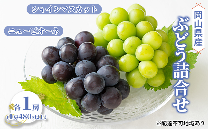 ぶどう 2026年 先行予約 詰合せ ニュー ピオーネ 1房（1房480g以上） シャイン マスカット 1房（1房480g以上） ブドウ 葡萄  岡山県産 国産 フルーツ 果物 ギフト 果物類 