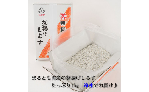 茹でたて釜揚げしらす　1kg箱入り【冷凍】無添加・無着色 / しらす シラス 釜揚げ 冷凍【mar112】