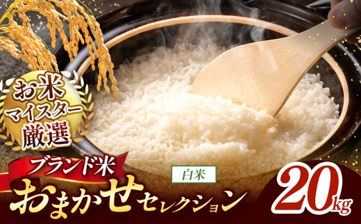 【 新米予約 】令和8年産 おまかせ セレクション 熊本県産 白米  ＜ひのひかり / 森のくまさん / くまさんの輝き ＞ 20kg 単品 | 単一銘柄 米 単一米 お米 こめ 小分け 人気 コメ お米 5kg 10kg 15kg 20kg 25kg 30kg ブランド米 菊池川流域 家庭用 送料無料 熊本 くまもと 熊本県 和水 和水町 人気 ごはん