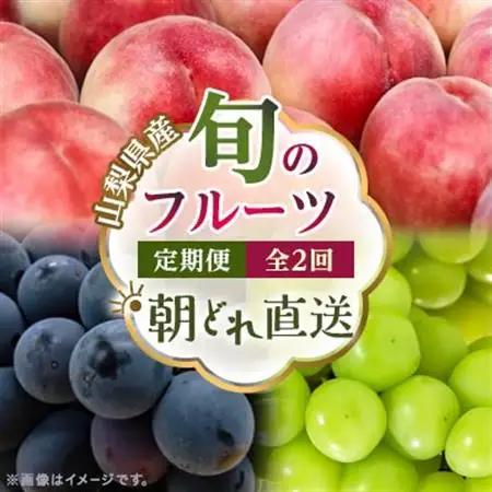 【発送月固定定期便】旬のフルーツ定期便 桃2kg・巨峰/シャイン全2回【配送不可地域：離島・沖縄県】【4076702】