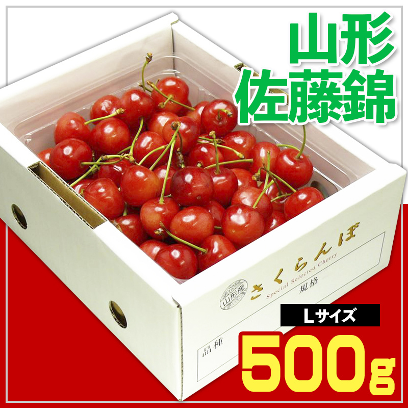 ☆山形さくらんぼ 佐藤錦 500g☆ Lサイズ バラ詰 FY25-063