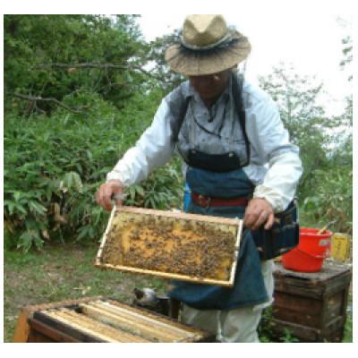 ふるさと納税 かつらぎ町 熊野古道　峠の蜂蜜2本セット |  | 01