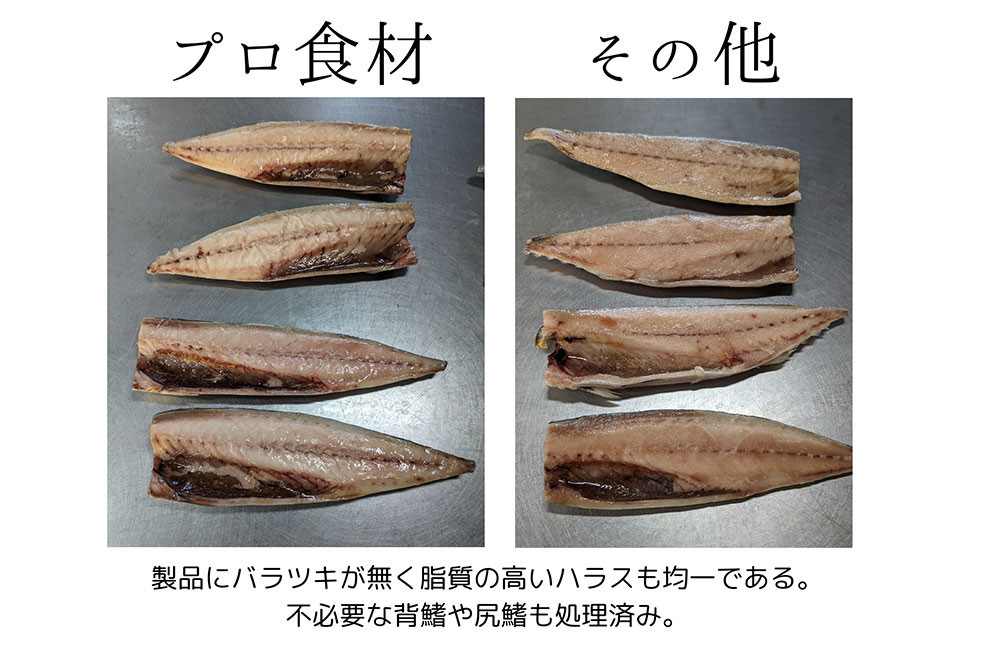 【2024年1月上旬より発送開始】プロ食材 サバフィーレ 5kg