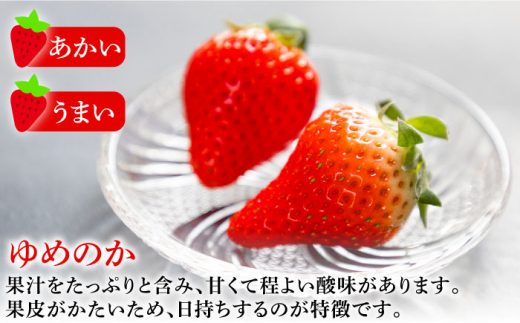 【先行予約受付中】【全3回定期便】 《2月〜4月：毎月発送！》お徳用 バラ詰め イチゴ 1kg （ゆめのか・恋みのり）《壱岐市》【蒼花】 [JEO004] いちご イチゴ 苺 フルーツ 果物 スムージ